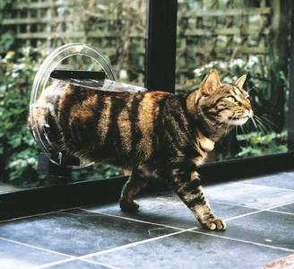 Transcat Cat Door Clear Ring Clearance Free Shipping