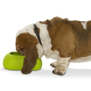 WET AND DRY FOOD BOWL FOR LONG EARED DOGS - 2 SIZES Outlet For Nice