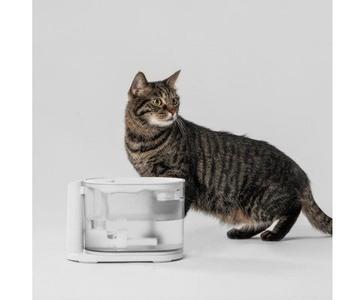 WATER FOUNTAIN WITH HEATING FUNCTION Discount Looking For