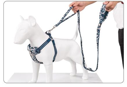 Large Multi Handle Harness  - Saxony Blue Outlet Official Site