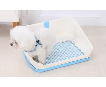 Medium Dog Potty Training  Tray With Wall - Blue Buy Cheap Footlocker