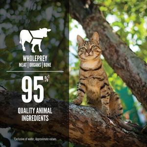 ORIJEN® Tuna, Salmon & Beef Entrée Wet Cat Food Cheap Factory Outlet