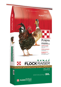 Purina® Flock Raiser® Pellets Outlet Locations Sale Online