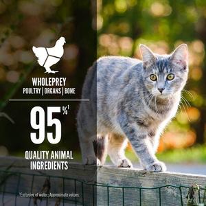 ORIJEN® Original Entrée Wet Cat Food Discount From China