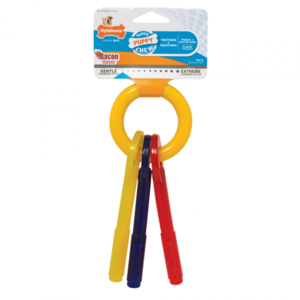 Nylabone Puppy Teething Chew Keys (Small, Up to 25 lbs) Inexpensive
