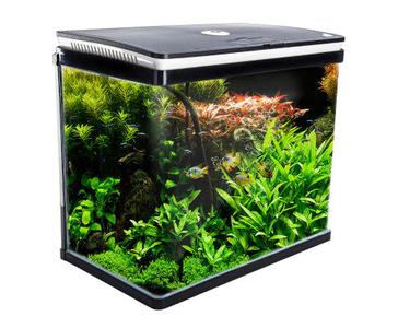 Dynamic Power Aquarium Fish Tank 52L Curved Glass RGB LED Comfortable Cheap Online