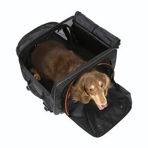 Ibiyaya JetPaw: Expandable Pet Carrier & Backpack - Obsidian/Orange Sale Tumblr