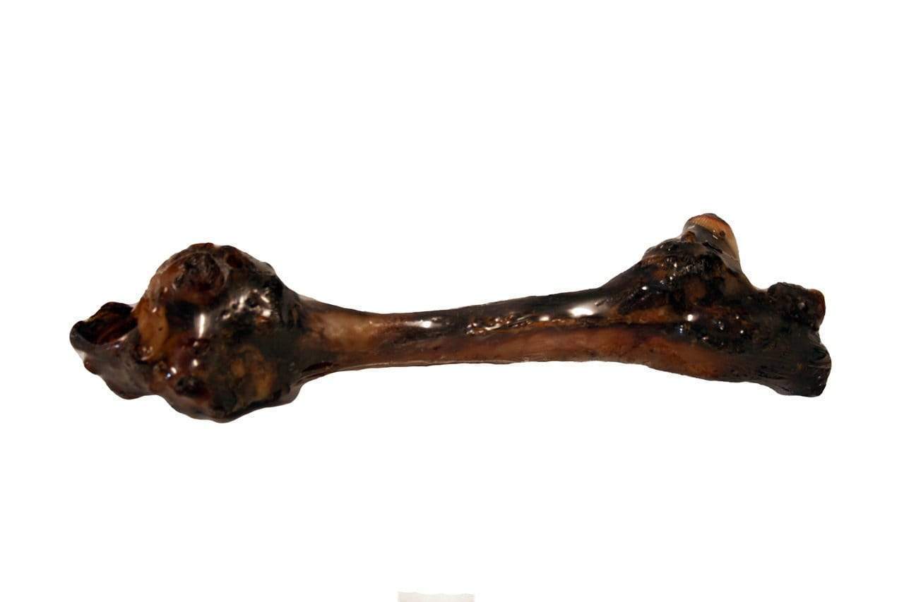 Kangaroo Bones 40 per carton Cheap Sale Shop For