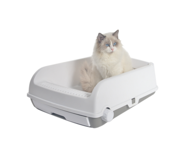 Large Cat Litter Tray Box with Rack Scoop & Drawer - White Cheap Pice Discount Authentic