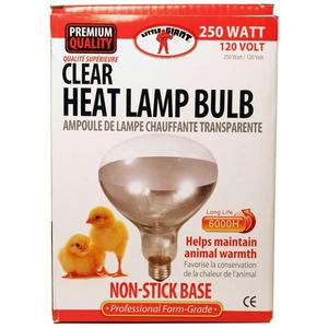 LITTLE GIANT CLEAR HEAT LAMP BULB Latest
