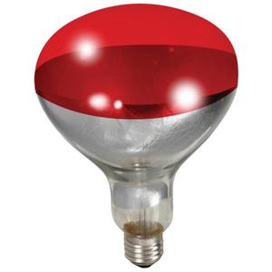 LITTLE GIANT RED HEAT LAMP BULB Cheap Pice Wholesale