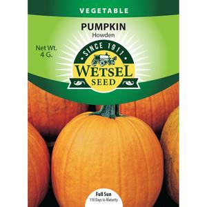 Wetsel Seed™ Pumpkin Howden Seed Deals Cheap Pice