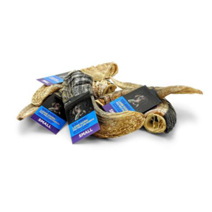 Lamb Horn Small Free Shipping Clearance