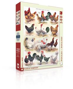 Poules ~ Poultry Buy Cheap Many Kinds Of