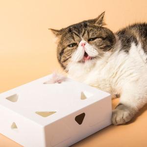 Katzenkiste - Interaktive Spielzeugbox Genuine Online