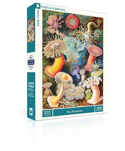 Sea Anemones Buy Cheap Free Shipping
