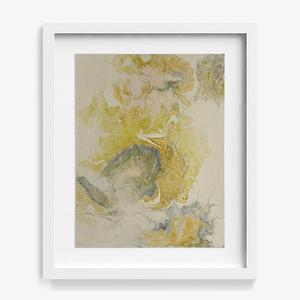 House Lizard Cheap Free Shipping