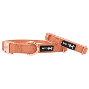 Dog Collar - Apple Cider Fashionable Online