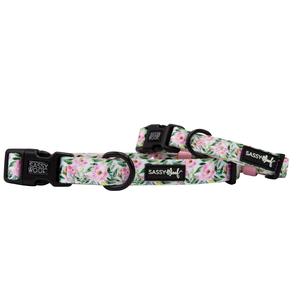 Dog Collar - Magnolia Discount Tumblr