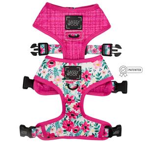 Dog Reversible Harness - Floral Frenzy Clearance Shop