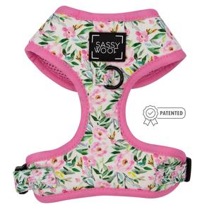 Dog Adjustable Harness - Magnolia With Paypal For Sale