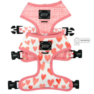 Dog Reversible Harness - Dolce Rose Cheap Sale Visit New
