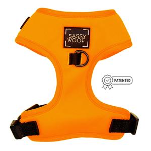 Dog Adjustable Harness - Neon Orange For Sale Free Shipping