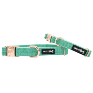 Dog Collar - Wag Your Teal Cheap Sale Huge Surprise