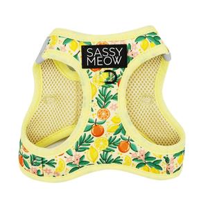 Cat Step-In Harness - Zest Friends Buy Cheap 100% Original