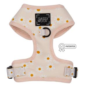 Dog Adjustable Harness - Dainty Daisy Free Shipping 2025 Unisex