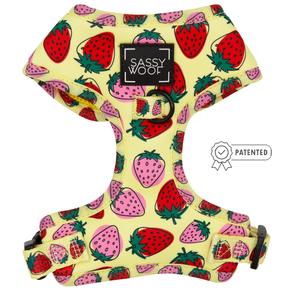 Dog Adjustable Harness - Strawberry Fields Furever Clearance Best Pices