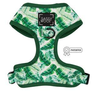 Dog Adjustable Harness - Verano Free Shipping Limited Edition