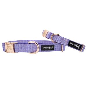 Dog Collar - Aurora Clearance Marketable