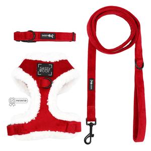 Dog Three Piece Bundle - Naughty Clearance Genuine