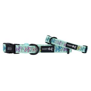 Dog Collar - Pup Pup Hooray Discount Low Pice