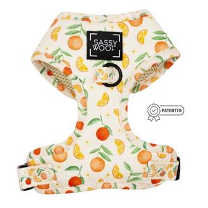 Dog Adjustable Harness - Simply the Zest Excellent Sale Online