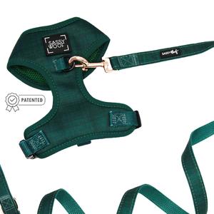 Dog Two Piece Bundle - Forest Free Shipping Best Place