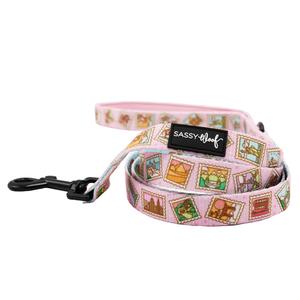 Dog Leash - Out of Office Outlet Countdown Package