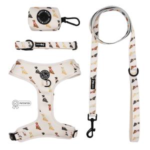 Dog Four Piece Bundle - Loyal Labradors Sale New