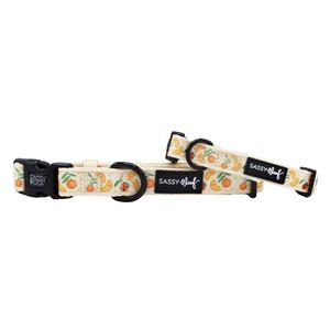 Dog Collar - Simply the Zest Best