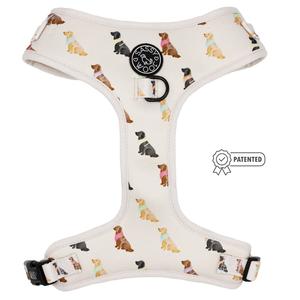 Dog Adjustable Harness - Loyal Labradors Pictures Online