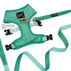 Dog Two Piece Bundle - Wag Your Teal Online Cheap Pice