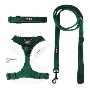 Dog Three Piece Bundle - Nice 2025 Cheap Online
