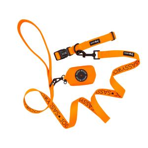 Collar Three Piece Bundle - Neon Orange Collections