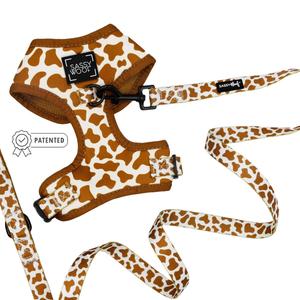 Dog Two Piece Bundle - Chocolate Milk Visit Sale Online