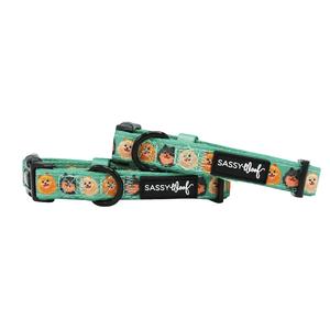 Dog Collar - Pawfect Poms Official Site Cheap Online