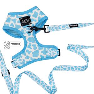 Dog Two Piece Bundle - Blueberry Milk Classic Cheap Pice