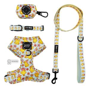 Dog Four Piece Bundle - Good Duck, Babe! Cheap Pice