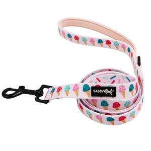 Dog Leash - A Sprinkle of Sass Low Pice Fee Shipping Sale Online