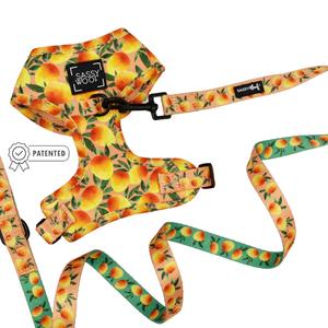 Dog Two Piece Bundle - Mango Tango Cheap New Styles